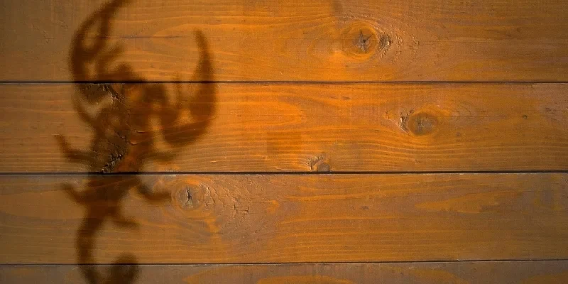 Áp lực vô hình từ chính suy nghĩ