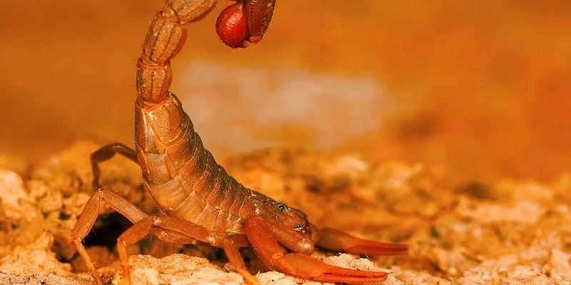 Chiều sâu cảm xúc trong các mối quan hệ