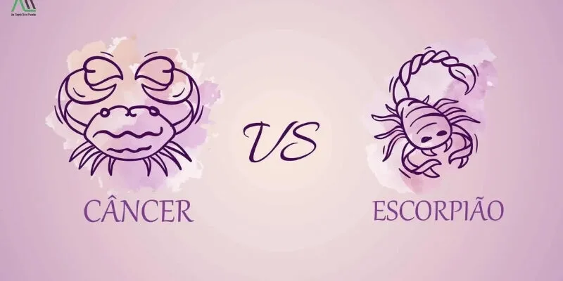 Hành động thể hiện sự gắn bó