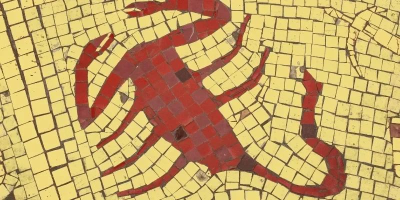 Liên kết cảm xúc bền chặt